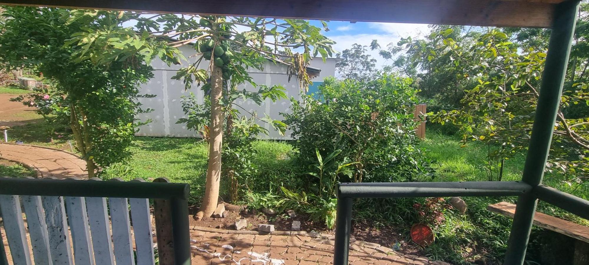Hostal Henua Roa Hanga Roa Exterior photo